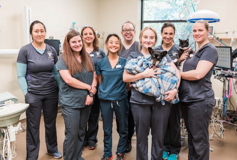 Animal Dental Center Team