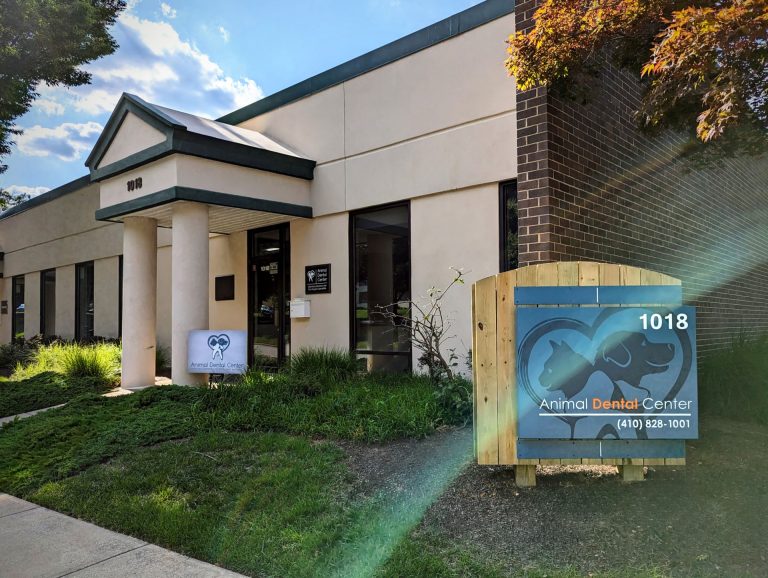Animal Dental Center Towson Office