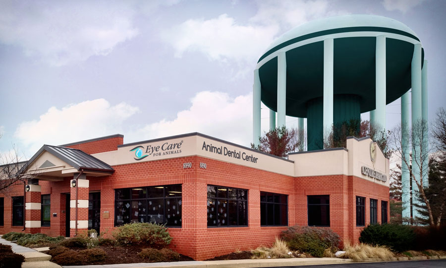 Animal Dental Center Columbia Office