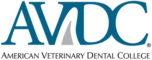 board certified veterinary dentist | Animal Dental Center