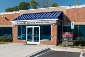 pet dental emergencies | Animal Dental Center