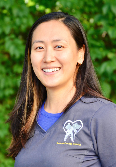 Inshil Kim, Diplomate AVDC