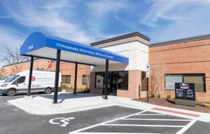 pet dental emergencies | Animal Dental Center