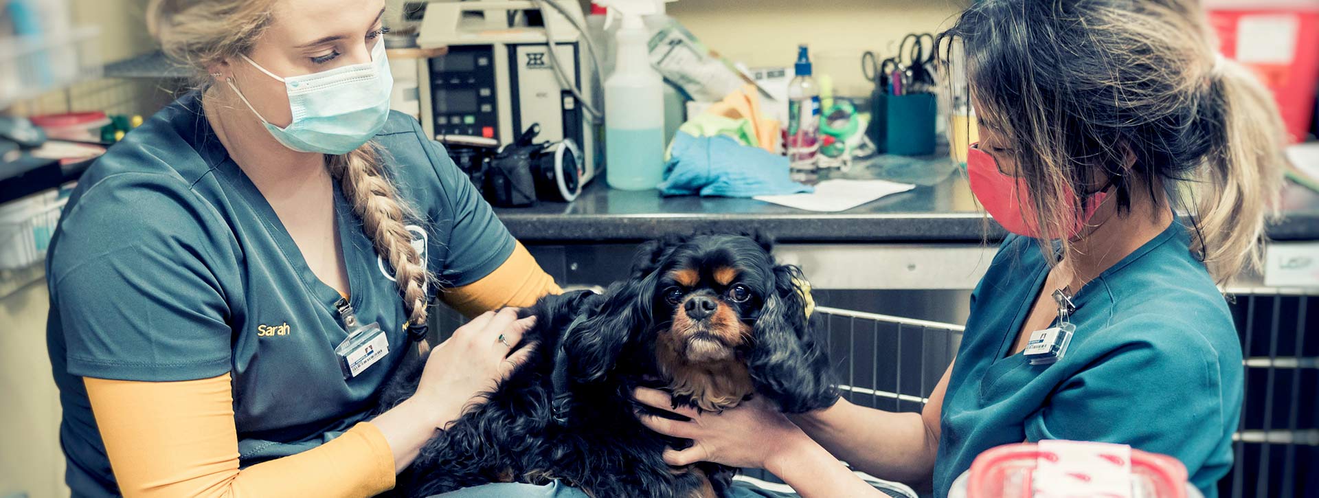 Veterinary Dental Technicians with pet