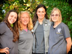 Animal Dental Center Team