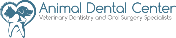 Animal Dental Center Logo