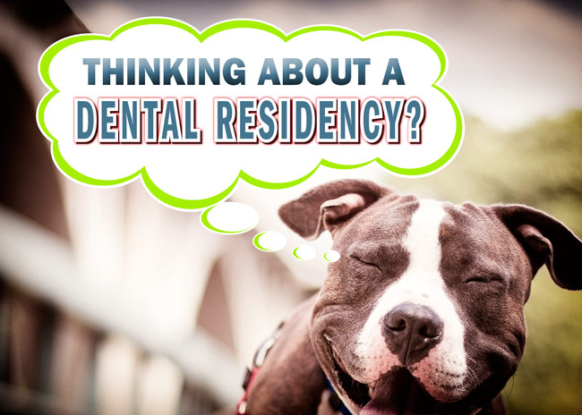 veterinary dental residency | Animal Dental Center