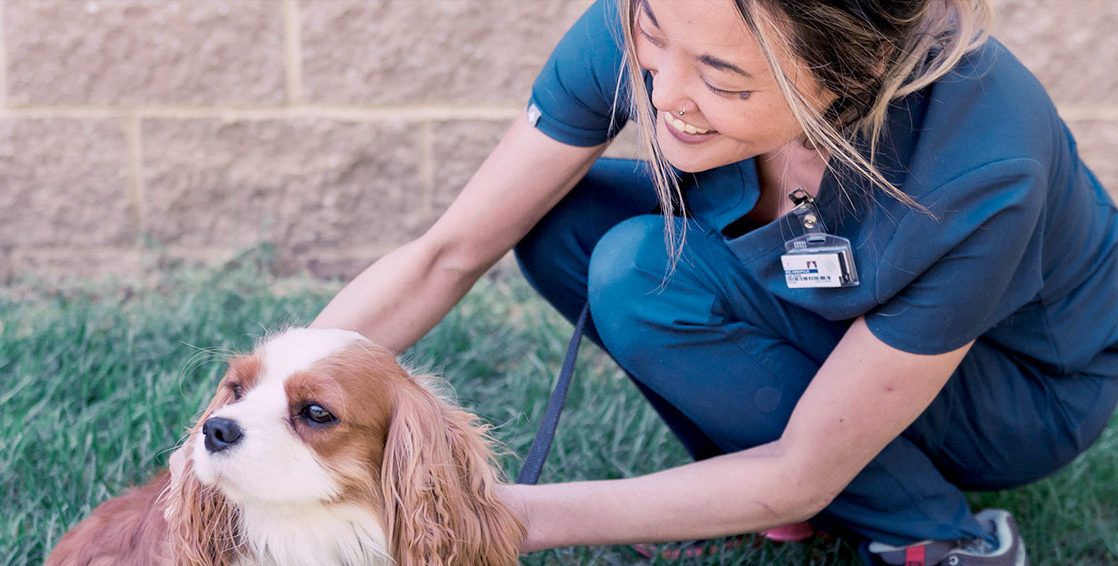 Exceptional Patient Care